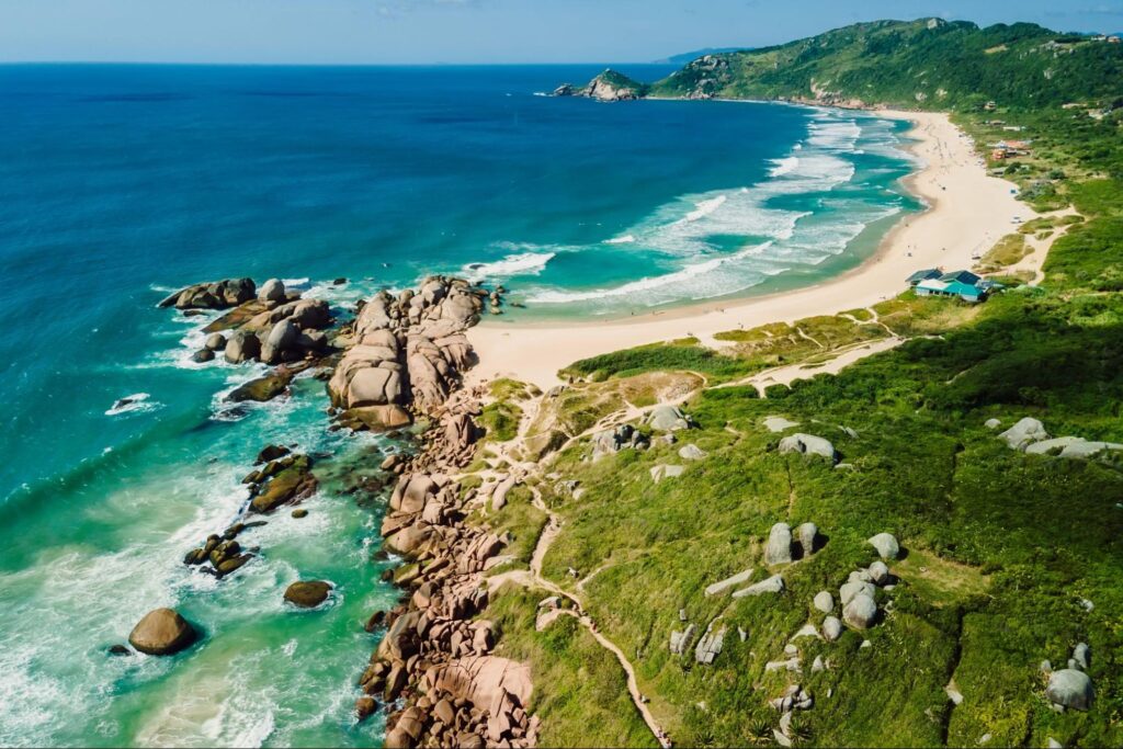 Vista aérea da Praia Mole, em Florianópolis. A longa faixa de areia é limitada por áreas de vegetação baixa e verde e pelo mar de cor azul intensa. Ela termina em um pontal repleto de rochas escuras.