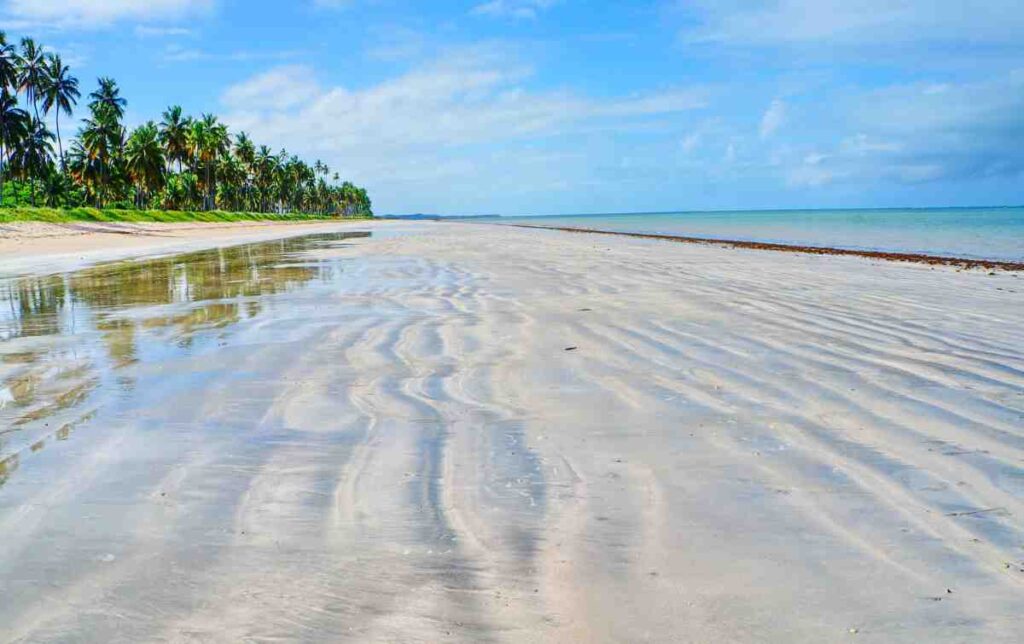 Praia de Japaratinga em Alagoas