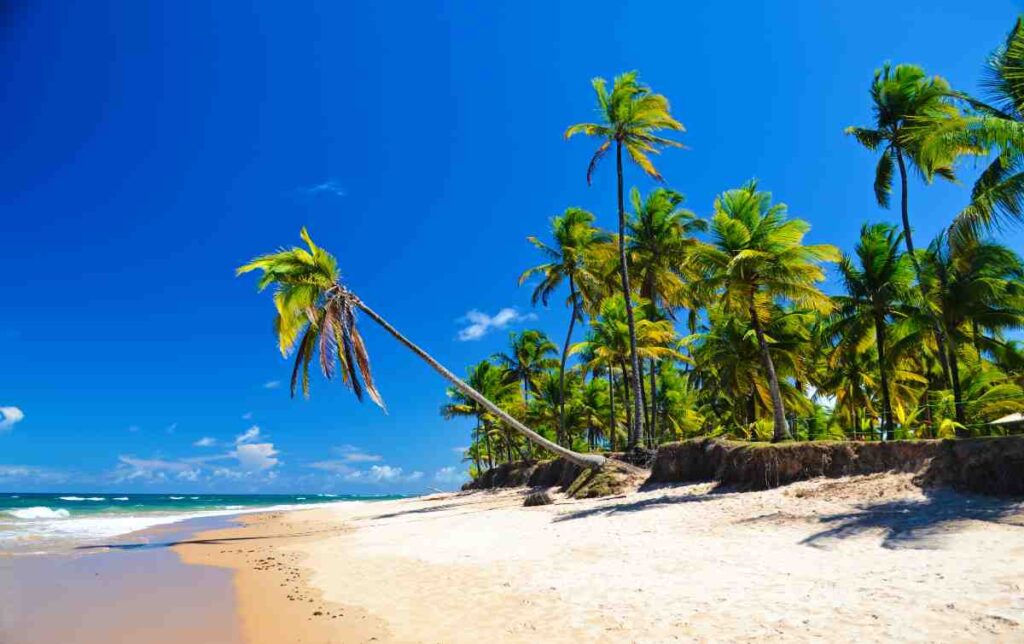 Praias da Bahia: Taipu de Fora