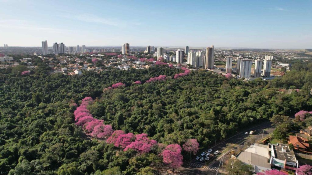 Maringá, PR: 19 lugares para curtir e se apaixonar pela cidade