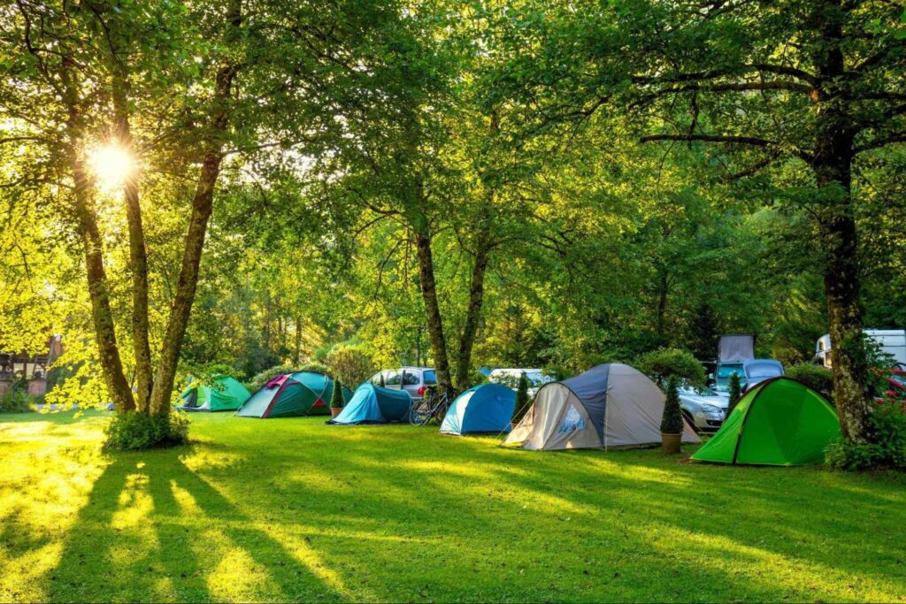 Barracas diversas de camping, armadas em um gramado verde com algumas árvores