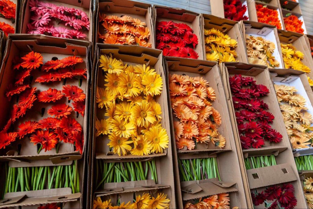 Cadeg RJ, Mercado das Flores