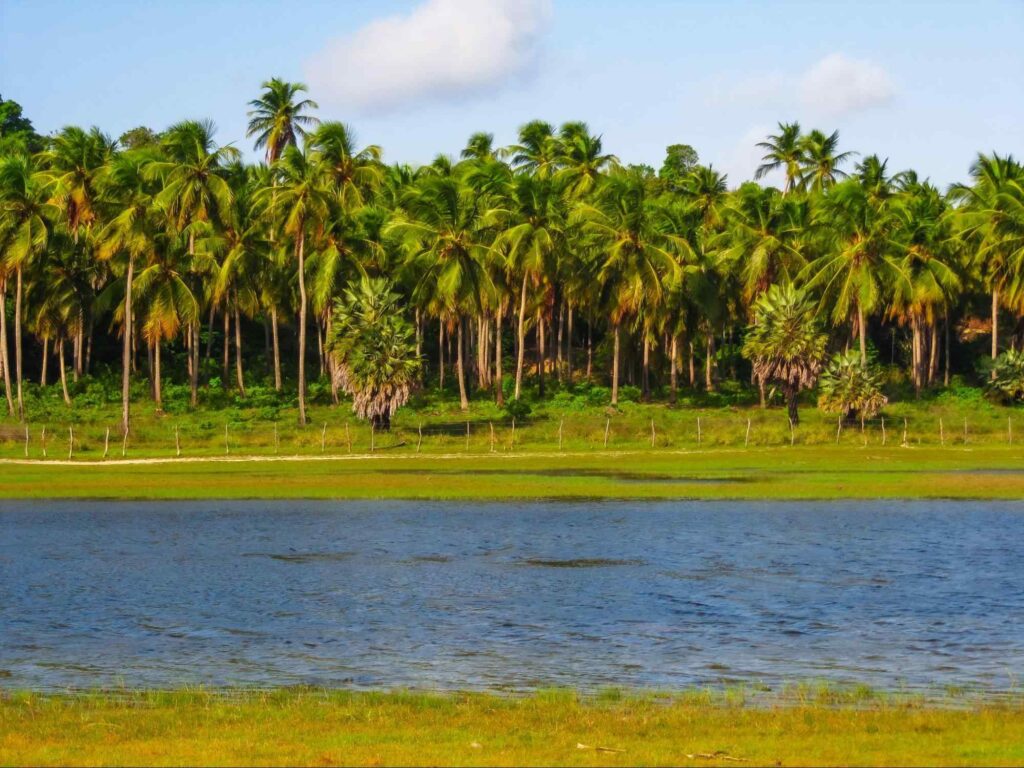 São Miguel do Gostoso, Rio Grande do Norte