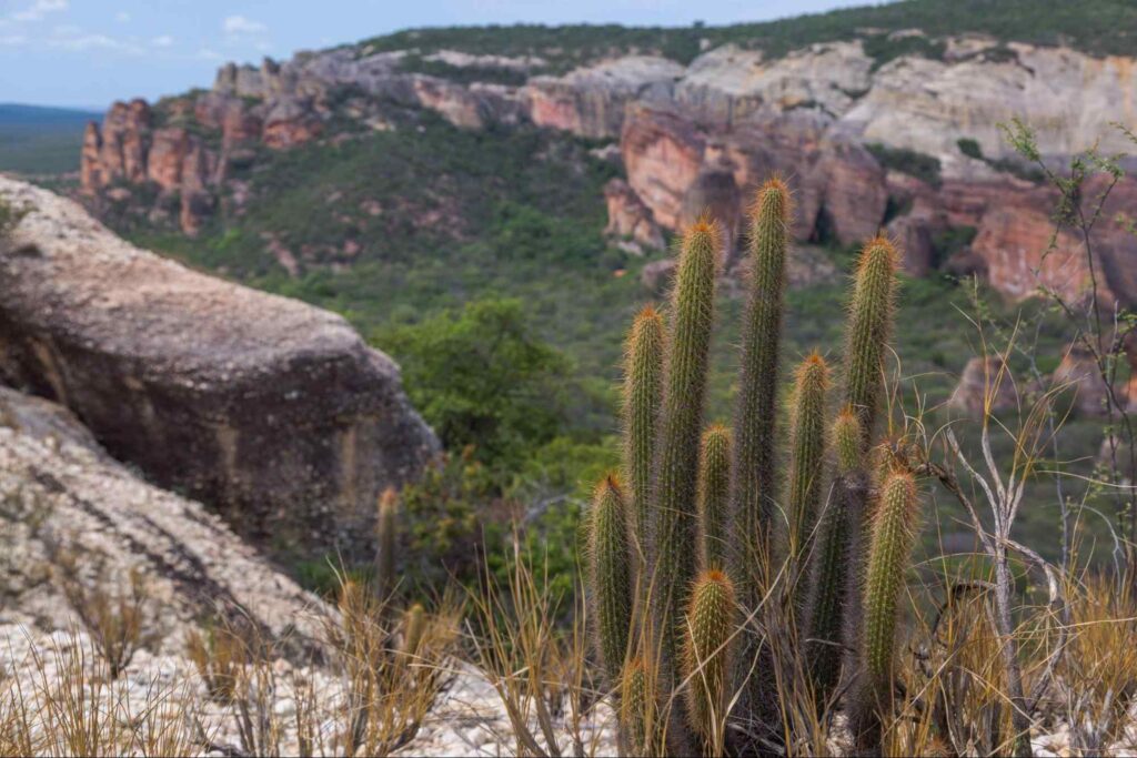 Serra da Capivara