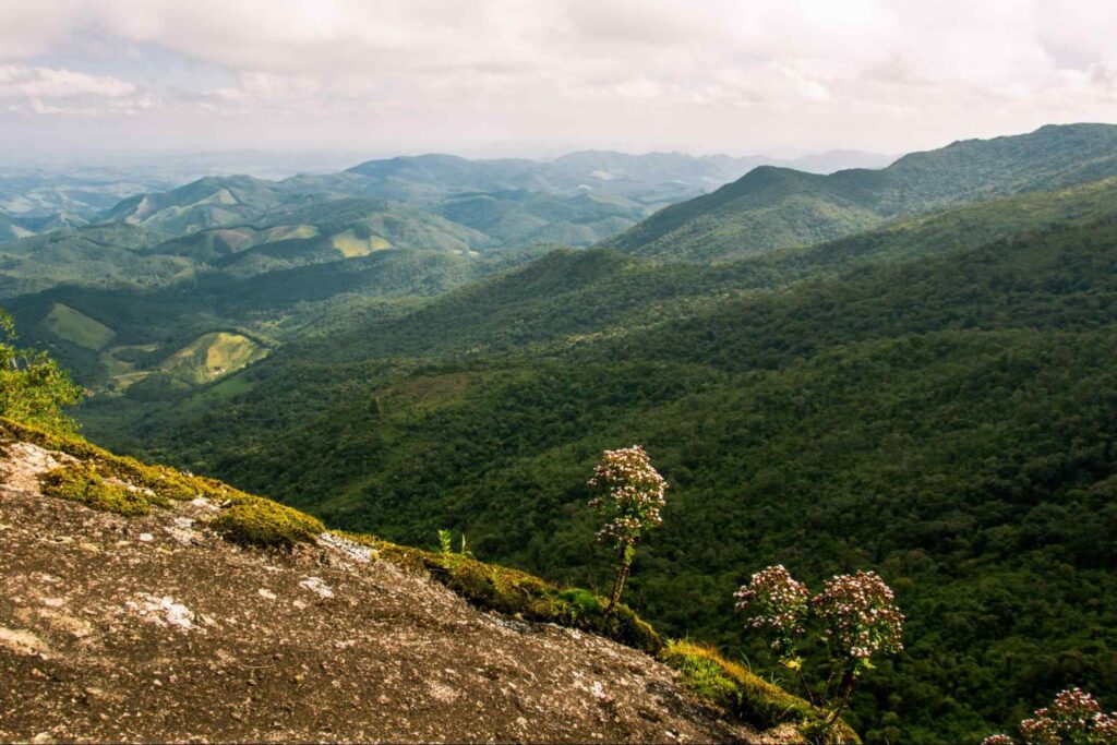 Montanhas verdes, vista do alto da Pedra Redonda