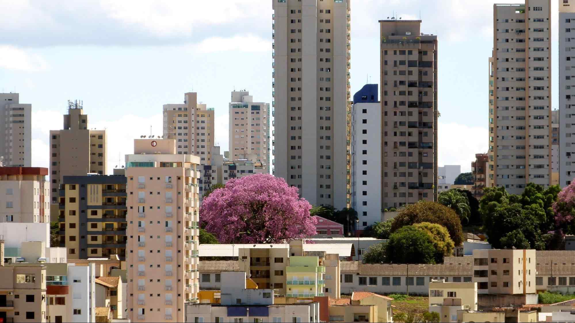 Uberlândia, Minas Gerais