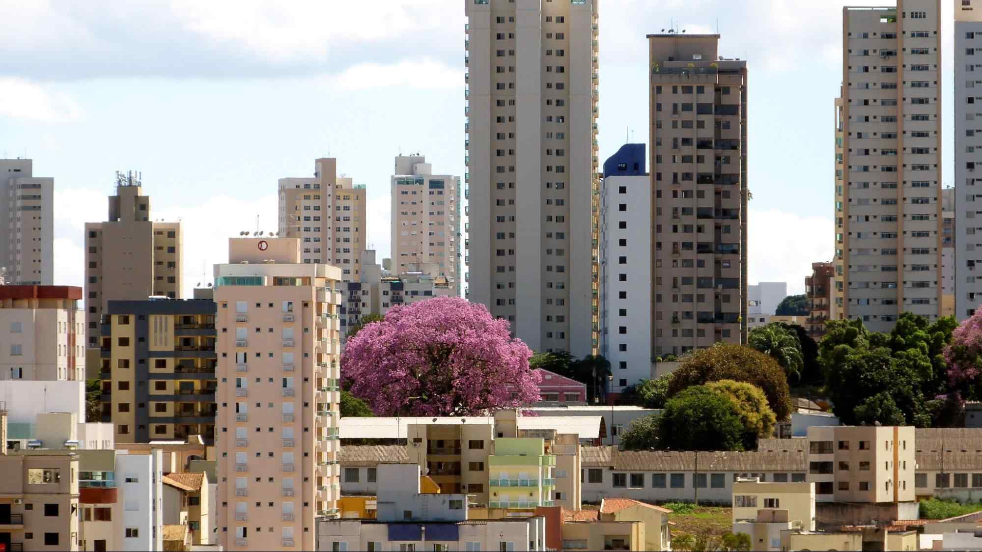 Cidade de Uberlândia