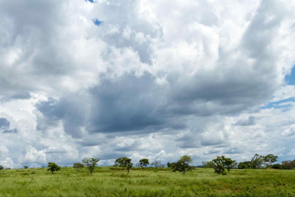 Paisagem de área verde extensa, com céu encoberto por nuvens em Montes Claros MG.