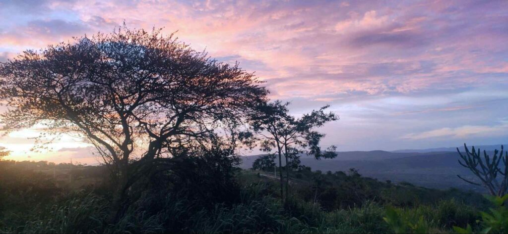 Paisagem em Gravatá, PE. Árvore ao lado esquerdo da foto, de frente para a região montanhosa. Céu ao pôr do sol, em tons de rosa.
