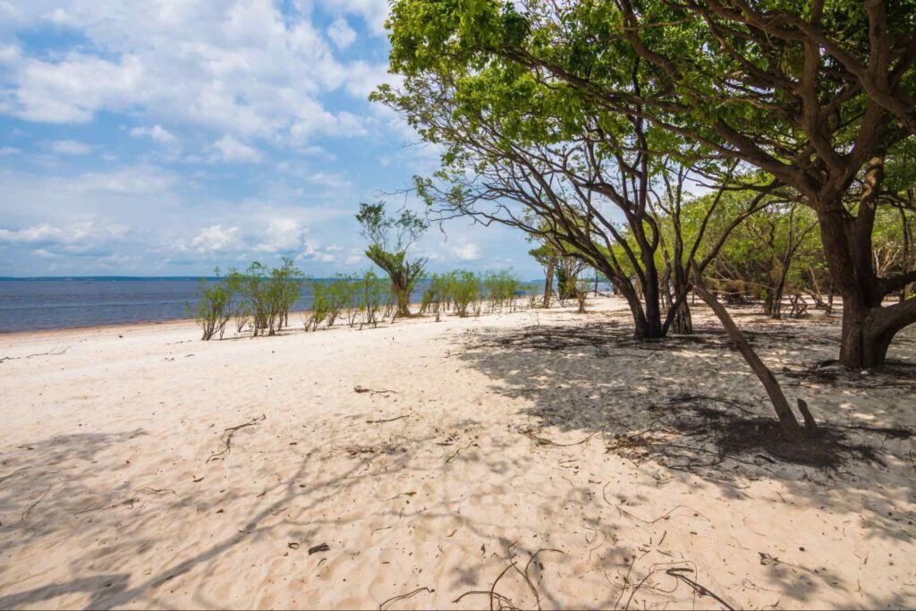 Trecho da Praia da Lua, em Manaus. Da areia branca, saem árvores de troncos retorcidos e copas verdes. Ao fundo, é possível ver as águas do rio, que se estendem até o horizonte.