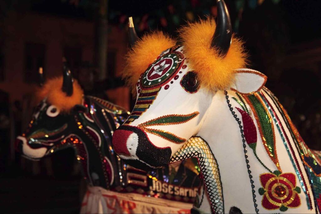 Bois de tecido usados nas apresentações de bumba meu boi, dança folclórica que faz parte do ciclo junino em São Luís