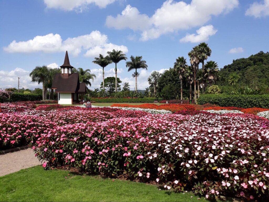 Parque dos Hemerocallis, um dos pontos turísticos de Joinville. É um jardim com gramados verdes e muitos arbustos baixos cobertos por flores coloridas. Ao fundo, aparecem grandes palmeiras e outras árvores nativas.