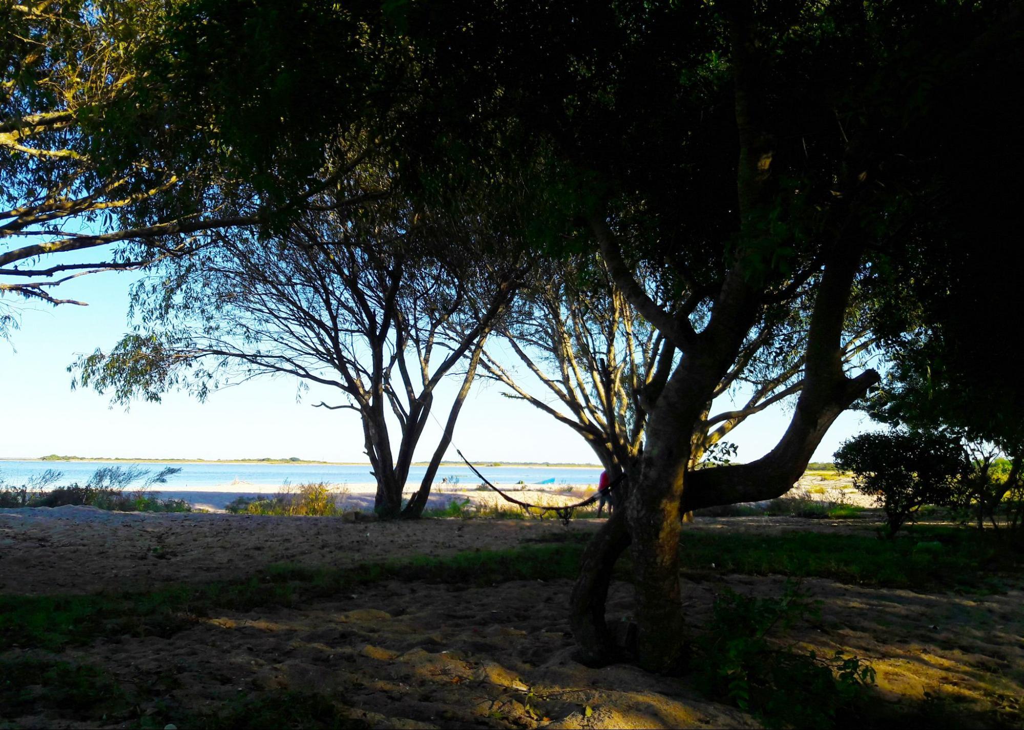 Árvores fazendo sombra na areia da praia. Ao horizonte, em segundo plano, o azul da água da lagoa quase se mistura ao azul do céu.