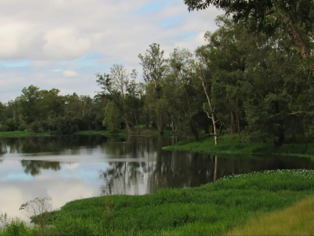 Lago refletindo o céu encoberto e as árvores ao seu redor, com gramados em tom verde escuro