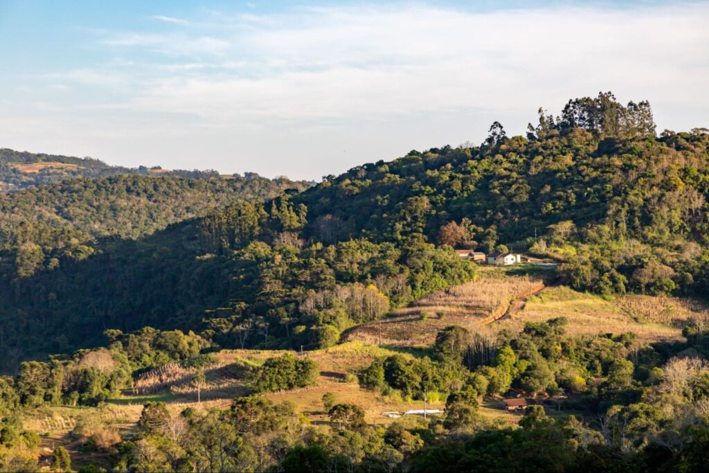 Visão aérea da vegetação de Santa Cruz do Sul, no RS.