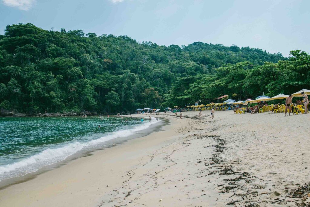 Praia de areia clara com águas calmas e famílias sob guarda-sóis coloridos no litoral de São Paulo.